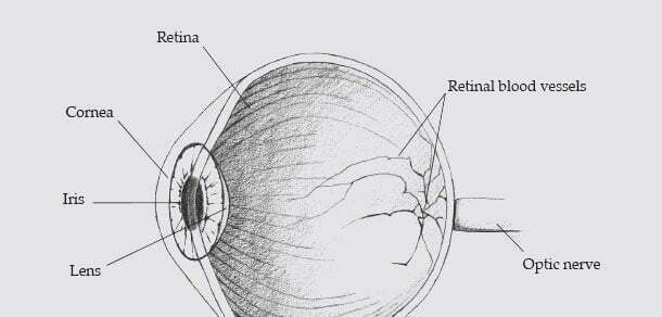 Iris recognition and retinal scans are not the same - Iris ID