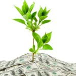slider moneytree 1