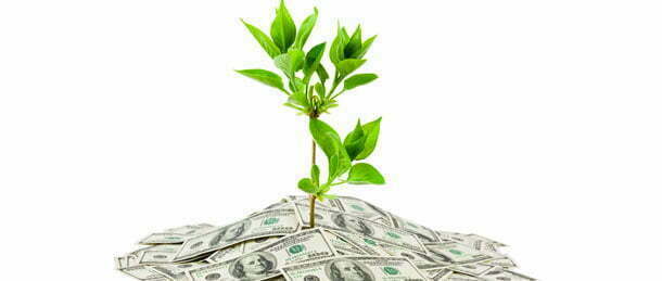 Does money really grow on trees?