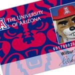 slider CatCard 1