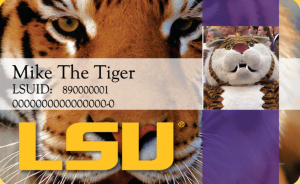 LSUtigercard 1