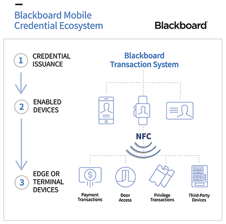 Blackboard iPhone credential flowchart