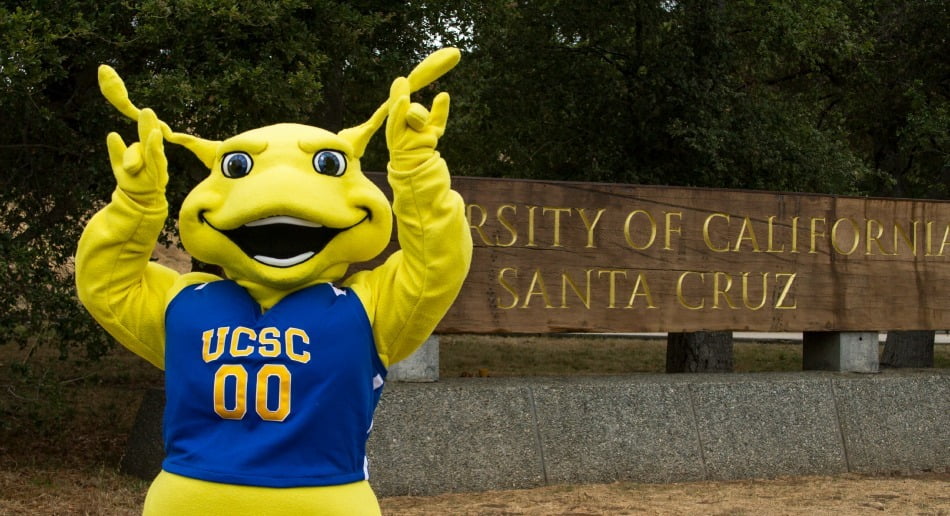 SantaCruz Mascot 1