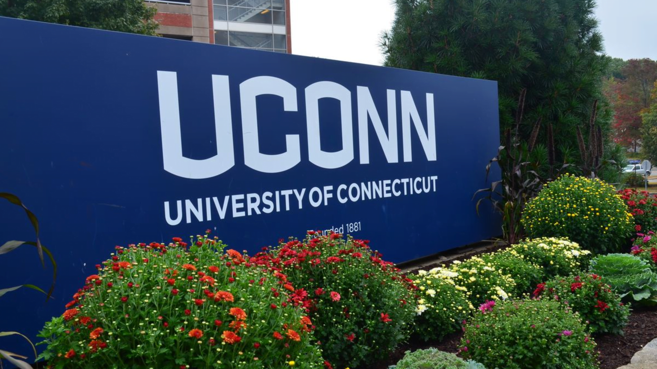 UConn sign 1