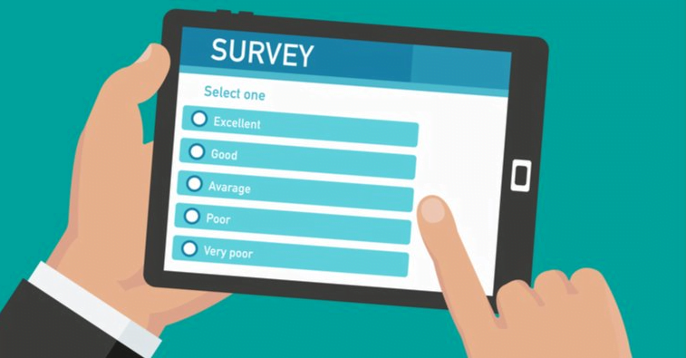 CR80 OnlineSurvey