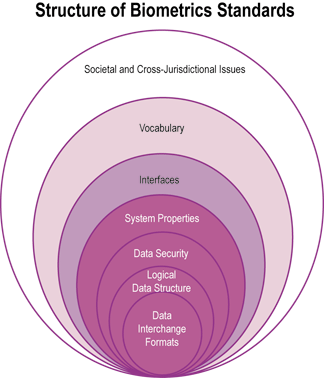Figure 2. Structure of Biometric Standards