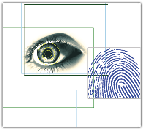 Biometric Image